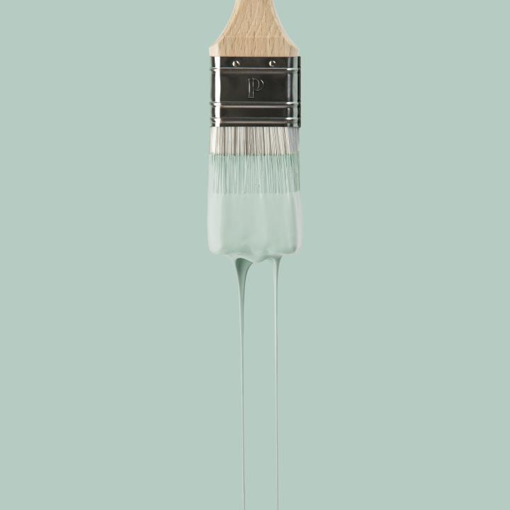 Peinture murale Celadon