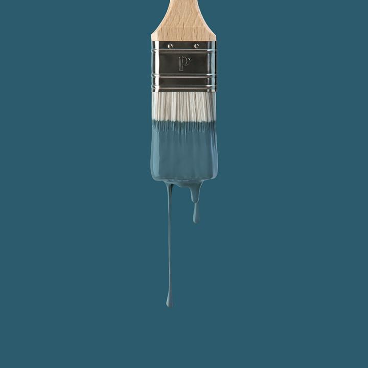 Wall paint sample