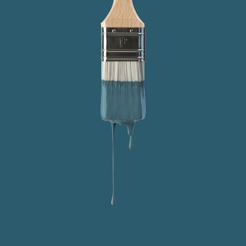 Wall paint sample